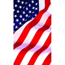 WOWindows Posters backlit USA Flag 34.5"x60"(Old Glory, 1)