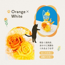 Korolla Seina Preserved Flower White Cat Black Cat Flower Gift Present Made in Japan Cat Wire (Orange/White)