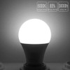 Honle E26 E27 LED 12-24V AC/DC Low Voltage 7W Daylight