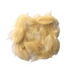 200 Pcs Small Skeleton Leaves Rubber Tree Natural Scrapbooking Craft