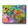 Epic Graffiti 'Primal Roar' by Dean Russo Canvas Wall Art,