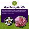 Jack's Classic 7-5-6 Orchid Liquid Concentrated Fertilizer with Micronutrients for