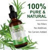 Rosemary Oil for Hair, 60 ml Rosemary Oil Hair Oil,