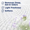 Downy RINSE & REFRESH Laundry Odor Remover and Fabric Softener,