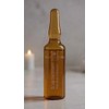 Ampolletas Capilares Phillip Martins Restaurador Anticaída 12x7ml Tratamiento Profesional Cabello