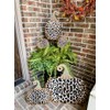 The Round Top Collection - Leopard Pumpkin, Large - Metal