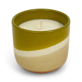 Ryan House Candles Decorative Delaney Jar Candle, 12 Ounce Premium Hand Poured Natural Soy Wax, Desert Flower