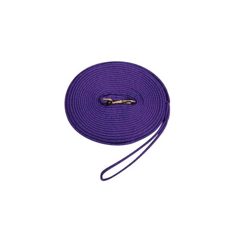 Kincade Two Tone Padded Lunging Rein, Purple/Black, 8m