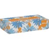 White Facial Tissue, 2-Ply, White, Pop-Up Box, 100 Sheets/Box
