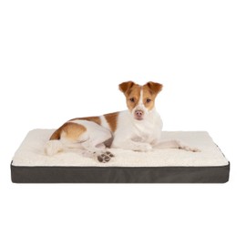 Best Pet Supplies Cute Dog Bed Mat Flat Mattress with Waterproof Exterior, Thick Orthopedic Egg Foam Fill, and Soft Sherpa Fleece Cover for Small, Medium, and Large Breeds - Brown, 24X16X3