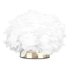 Feather Table Lamp USB Type C 5V Touch Control Stepless