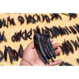 1 oz Guatemalan Vanilla Beans Whole Grade A Vanilla Pods for Homemade Vanilla Extract, Baking, Ice Cream, Flavoring, & Vanilla Powder