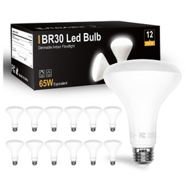 DAYBETTER 12Pack BR30 LED Light Bulbs Indoor Flood Light 65W Equivalent, Daylight White 5000K, Dimmable Recessed Light Bulb for Bedroom Kitchen Living Areas, 800 Lumens E26 Base