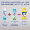 Lysol Disinfectant Spray, Sanitizing and Antibacterial Spray, For Disinfecting and