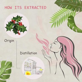 AOPING Wintergreen Essential Oil - 100% Pure Organic Natural Plant (Gaultheria procumbens) Wintergreen Oil for Diffuser, Aroma, Spa, Massage, Yoga, Perfume, 0.33oz