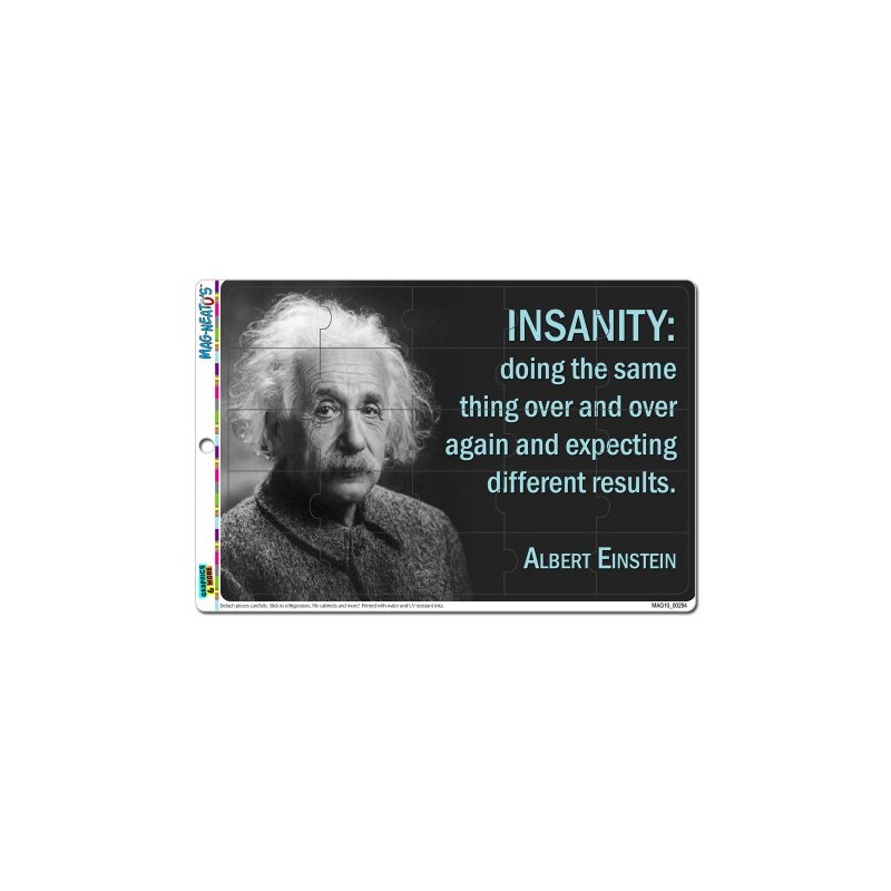 Definition of Insanity Einstein - Funny Novelty Gift Locker Refrigerator