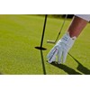 Nice Shot The Bird Golf Glove, Men's Left Hand in