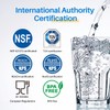 ICEPURE JFC001 Pitcher Water Filter Compatible with Brita Maxtra+/Maxtra/Mava, 1001122,