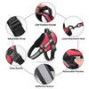 Service Dog Vest, DEWVIE Dog Harness and Leash Set with