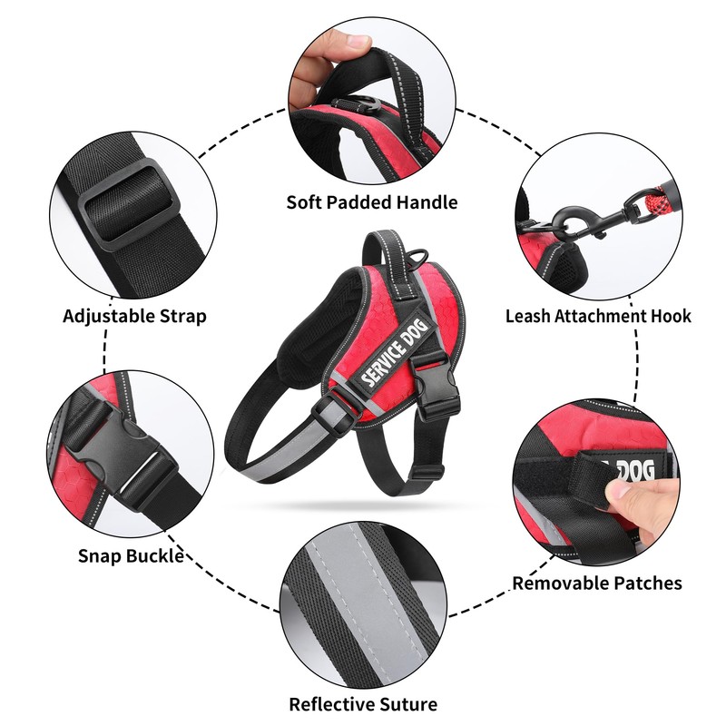 Service Dog Vest, DEWVIE Dog Harness and Leash Set with