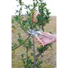 高儀 Sun Garden Pruning Shears Die-Cast Aluminum 200 mm
