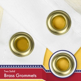 G128 US Virgin Islands Flag | 3x5 Ft | LiteWeave Pro Series Printed 150D Polyester | US Territory, Indoor/Outdoor, Vibrant Colors, Brass Grommets, Thicker and More Durable Than 100D 75D Polyester