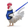 Chicken Harness with Leash, Adjustable Chicken Leash for Hens, Duck,