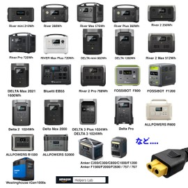12V 24V Car Charger with XT60 Ports Compatible with Energy Storage Portable Power Supply such as EcoFlow DELTA RIVER and Bluetti EB55 AC70 AC2A (14 AWG)