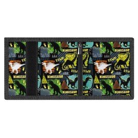 Kids Wallets for Boys & Girls - Trifold, Zippered Coin Pocket & Card Holders, Novelty Wallet for Birthday Gifts (Dinosaur 2)