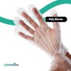 Generic Poly Gloves (Medium, Clear, Pack of 500)