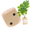 HOFMEISTER Holzwaren Cube, with eye, length: 40 mm