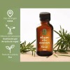 Oleum Vitae Aceite Esencial 100% Puro De Romero 120ml