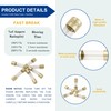 315mA (0.315A) GMA Glass Fuses, 5x20mm (0.20 x 0.79inches), 250V