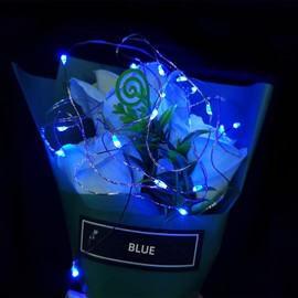 Etinga 10 Pack Fairy Lights Battery Operated String Lights, 10 LED on 3.3ft Silvery Copper Wire，for Flowers Gift Box Wedding Party Christmas Decoration (Polychrome, 10 Pack)