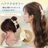 FASELE バンスクリップ ヘアクリップ バレッタ 髪留め カジュアル スタイリッシュ 甘美 可愛い 蝶結び