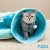 Caitec Presents Nala Cat Tunnel Bed - Collapsible Cat Cave