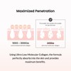 Biodance [Biodance]Pore Tightening Collagen Ampoule 50ml