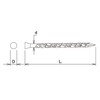Daidohant 10179671 Stainless Steel Screw Nails, Panel (Diameter: d) 0.07