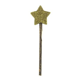 Fancy Pets Paleta de Catnip en Forma de Estrella y Palito de Matatabi para Gato