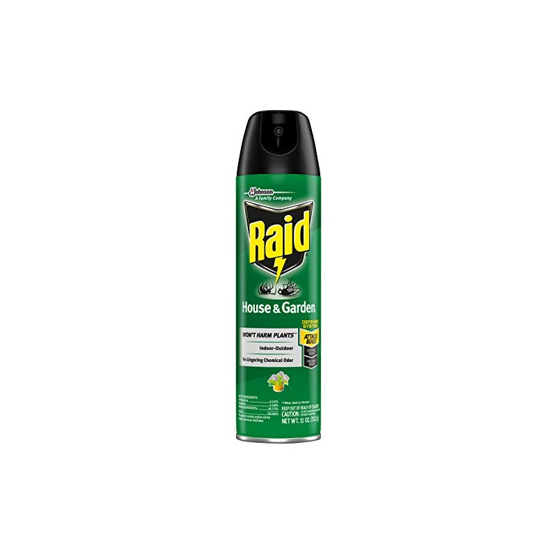 Raid House & Garden I, Indoor & Outdoor Insecticide Spray,