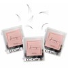 Ready-to-Use 5D Volume Eyelash Fans (Pack of 500) D-Curl CC