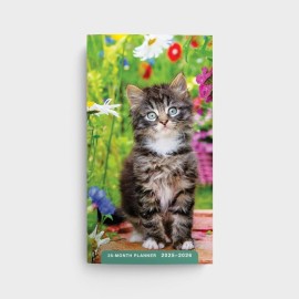 DaySpring Beautiful Kitten 28-month Inspirational Pocket Planner 2025-2026