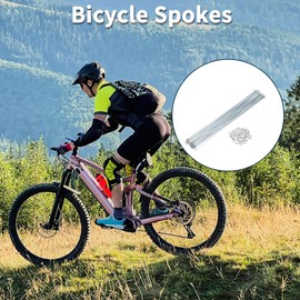TUCKBOLD Bicycle Spokes Bike Wheel Spokes Silver Tone Nipple 1 Set 14G 289mm Length Carbon Steel Galvanized