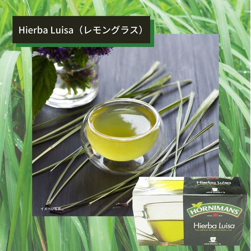 Lemongrass Herbal Tea Hornimans Hierba Luisa Hornimans