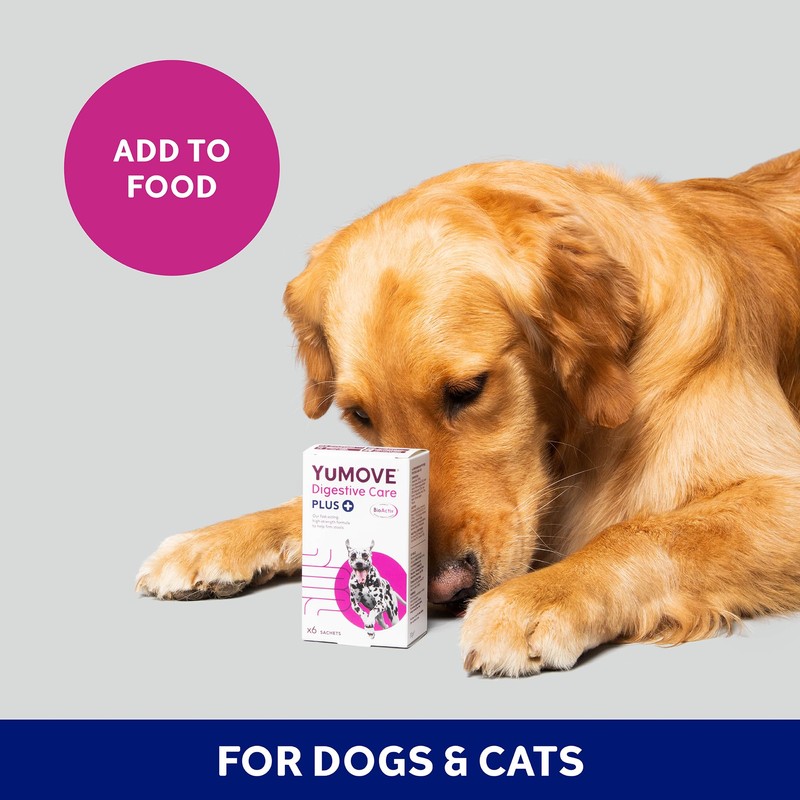 YuMOVE Digestive Care PLUS | Previously YuDIGEST PLUS | Veterinary