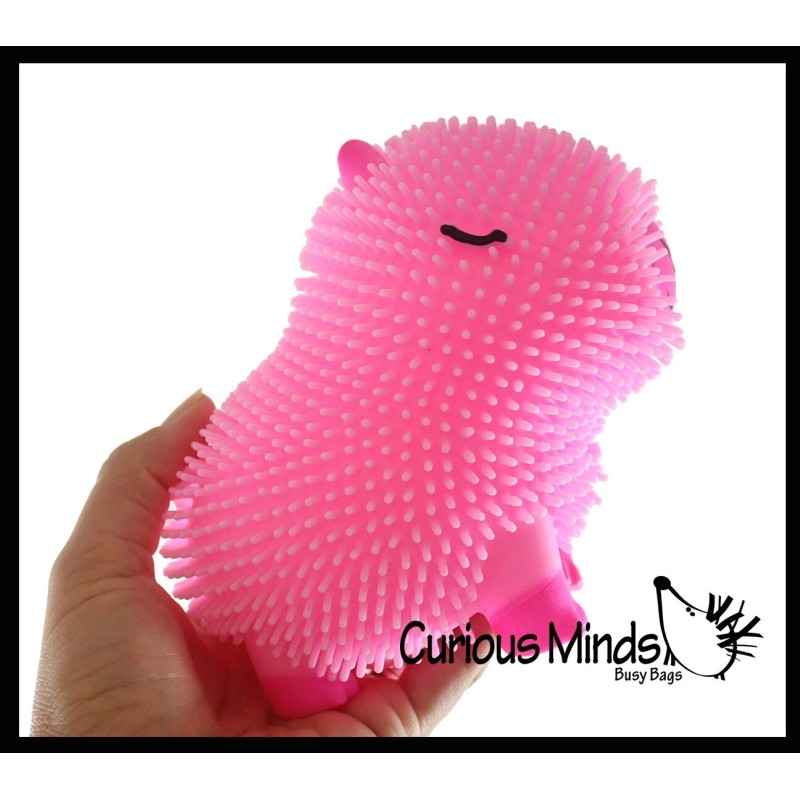 Not Specified 1 RANDOM Capybara 6" Puffer Air- Filled Squeeze