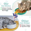 Apatal Silicone Cat Food Bowl Shallow Dishes 5.9in Wide Cats