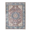 ILANGO Area Rugs 5x7, Distressed Traditional Rugs for Living Room