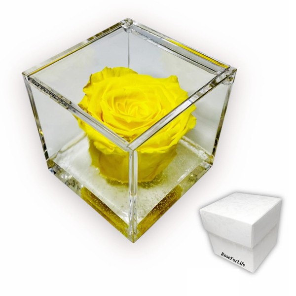 PremiumRose 8 cm Yellow Stabilized Rose Cube with Real Eternal Rose | Gift Idea for Mom, Girlfriend, Friend, Birthday, Graduation, Handmade in Italy (Yellow - A 1083)