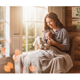 Chanasya Premium Soft Textured Beige Cream Faux Fur & Velvety Mink Throw Blanket - Cozy Blanket for Sofa Chair Couch Bed & Living Room - Reversible Silky Royal Luxurious Blanket (50x65 Inches) S&